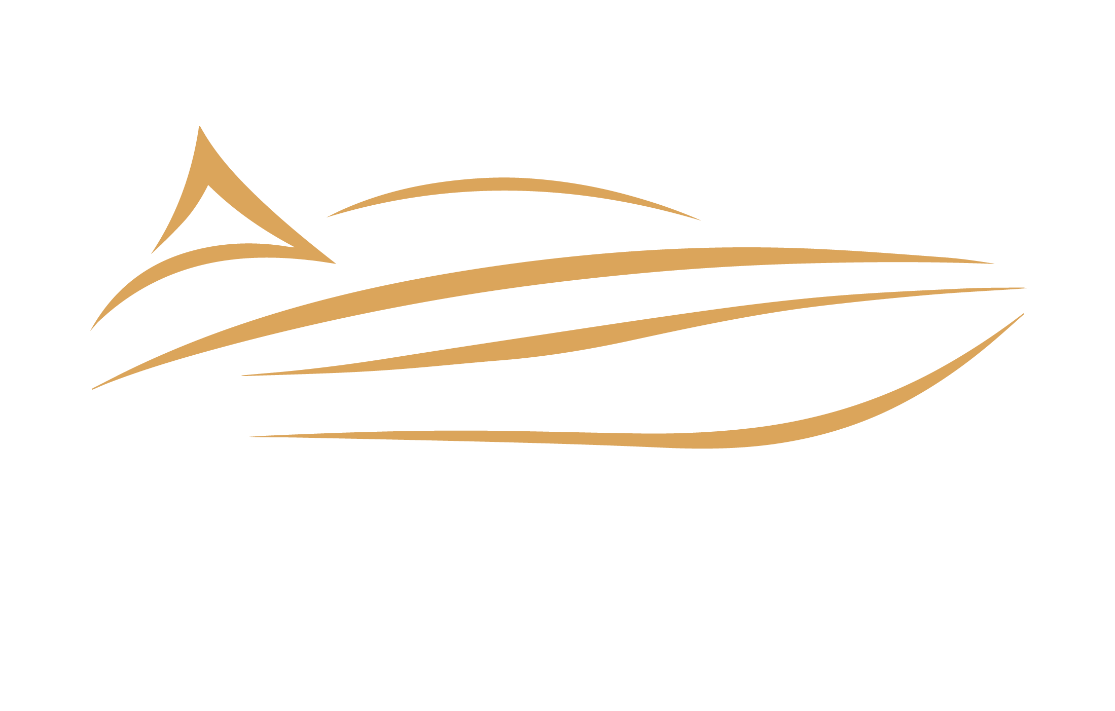 logo light